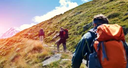 In diesem ausführlichen Artikel erfahren Sie detailliert alles wissenswerte über die schönsten Bergsteigerdörfer in Österreich...