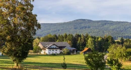 Landurlaub Österreich: Warum ein Hof als Mitarbeiterreise funktioniert